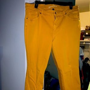 Mustard colored jeans size 20W!  Only worn once